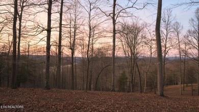 Welcome to Deerfield Resort--one of Norris Lake's most - photo 32