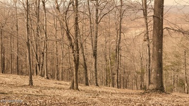 Welcome to Deerfield Resort--one of Norris Lake's most - photo 36