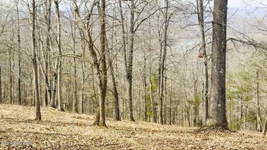 Welcome to Deerfield Resort--one of Norris Lake's most - photo 37