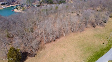 Welcome to Deerfield Resort--one of Norris Lake's most - photo 38