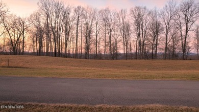 Welcome to Deerfield Resort--one of Norris Lake's most - photo 39