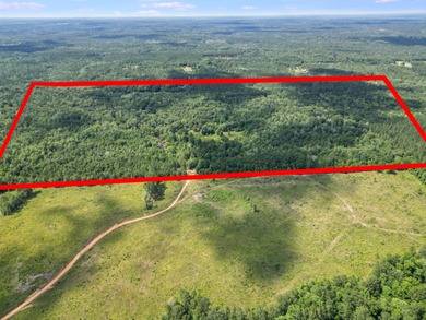 (private lake, pond, creek) Acreage For Sale in Ponce De Leon Florida