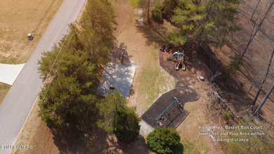 Welcome to Deerfield Resort--one of Norris Lake's most - photo 48