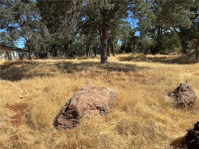 Clear Lake Lot For Sale in Clearlake California