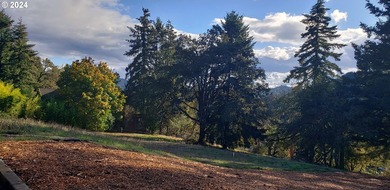 North Umpqua River Lot For Sale in Elkton Oregon