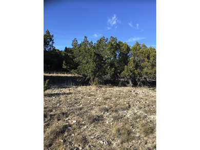 Lake Travis Lot For Sale in Lago Vista Texas