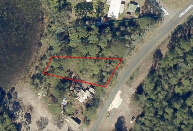 Lake Lot Sale Pending in Ocklawaha, Florida