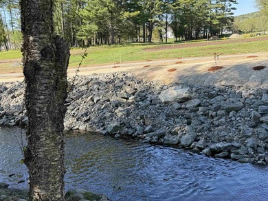 Waterfront Property on Bean Brook! If you are looking for a - photo 8