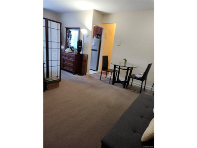 Sale may be subject to term & conditions of an offering plan - photo 5