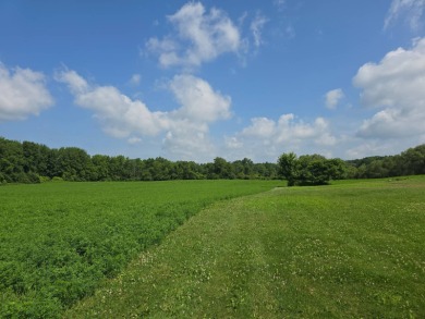 Lake Acreage For Sale in Fabius, New York