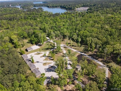Maximize your ROI at The Cabins of Lay Lake at Beeswax. This - photo 2