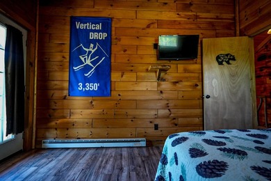 A rare Adirondack investment opportunity -- two fully - photo 35