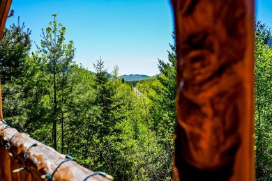 A rare Adirondack investment opportunity -- two fully - photo 42
