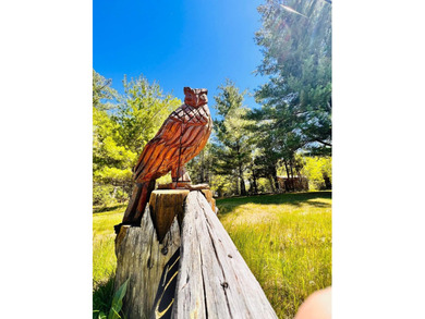 A rare Adirondack investment opportunity -- two fully - photo 47