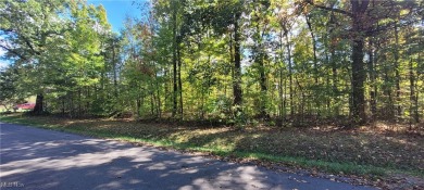 Cinnamon Lake Lot For Sale in West Salem Ohio