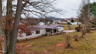 Lake Home For Sale in Bristol, Tennessee