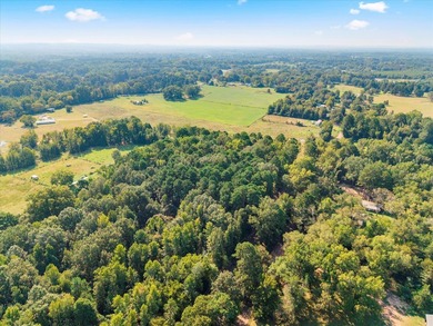 Stunning A-Frame Home on 5 Private Wooded Acres Exceptional - photo 15