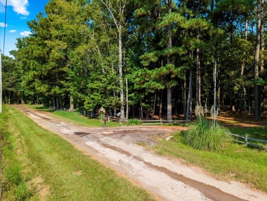 Stunning A-Frame Home on 5 Private Wooded Acres Exceptional - photo 17