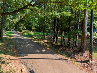 Stunning A-Frame Home on 5 Private Wooded Acres Exceptional - photo 18