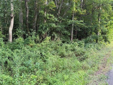 Lovely Wooded 1 Acre Lot on Clay Bank Rd. in Mid County - photo 1