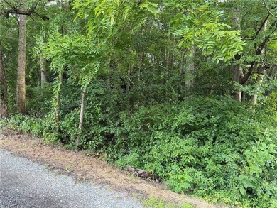 Lovely Wooded 1 Acre Lot on Clay Bank Rd. in Mid County - photo 2