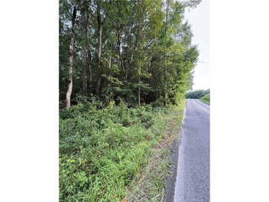 Lovely Wooded 1 Acre Lot on Clay Bank Rd. in Mid County - photo 4