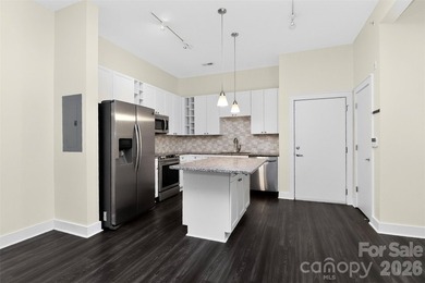 Recently renovated and ready for its next chapter. This elevated - photo 7