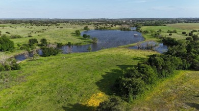 (private lake, pond, creek) Home For Sale in Bertram Texas