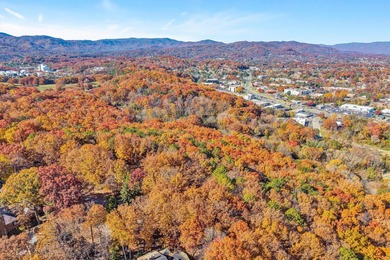 SUPERIOR LOCATION! 52.56 Acres for Sale Zoned R3 (37.34 Acres) - photo 15
