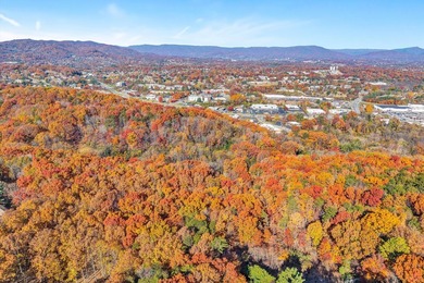SUPERIOR LOCATION! 52.56 Acres for Sale Zoned R3 (37.34 Acres) - photo 16