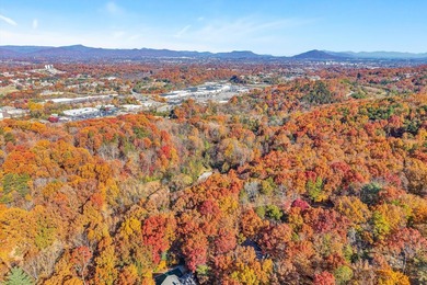SUPERIOR LOCATION! 52.56 Acres for Sale Zoned R3 (37.34 Acres) - photo 17