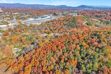SUPERIOR LOCATION! 52.56 Acres for Sale Zoned R3 (37.34 Acres) - photo 19