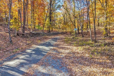 SUPERIOR LOCATION! 52.56 Acres for Sale Zoned R3 (37.34 Acres) - photo 21