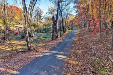 SUPERIOR LOCATION! 52.56 Acres for Sale Zoned R3 (37.34 Acres) - photo 22