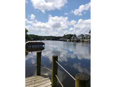The home sits in an all age community with a million dollar view - photo 23