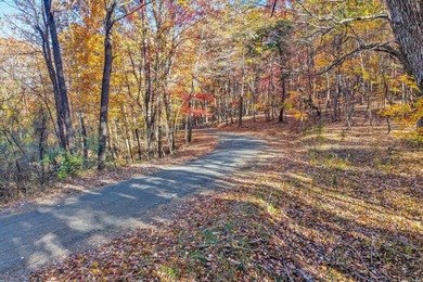 SUPERIOR LOCATION! 52.56 Acres for Sale Zoned R3 (37.34 Acres) - photo 24