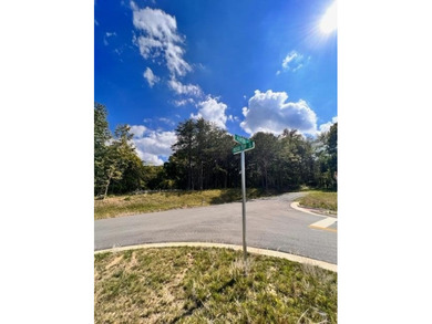 SUPERIOR LOCATION! 52.56 Acres for Sale Zoned R3 (37.34 Acres) - photo 25