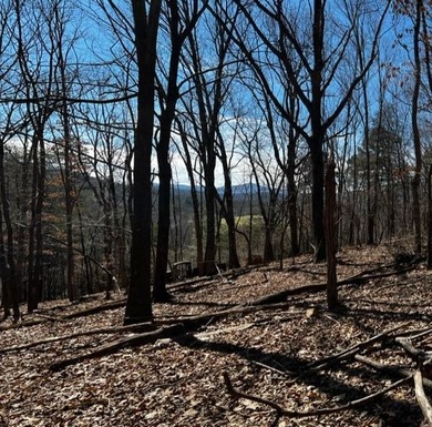 SUPERIOR LOCATION! 52.56 Acres for Sale Zoned R3 (37.34 Acres) - photo 26