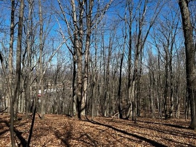 SUPERIOR LOCATION! 52.56 Acres for Sale Zoned R3 (37.34 Acres) - photo 27
