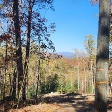 (private lake, pond, creek) Lot For Sale in Ranger Georgia