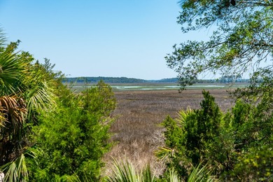 You do not want to miss this rare opportunity to enjoy marsh - photo 26