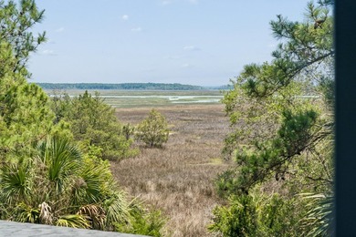 You do not want to miss this rare opportunity to enjoy marsh - photo 32