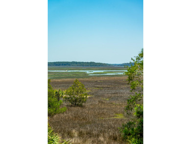 You do not want to miss this rare opportunity to enjoy marsh - photo 33