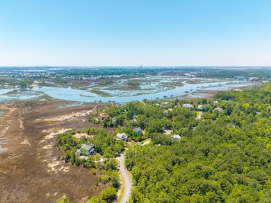 You do not want to miss this rare opportunity to enjoy marsh - photo 42