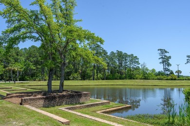 You do not want to miss this rare opportunity to enjoy marsh - photo 43