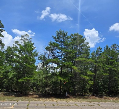 Boat Lake Lot For Sale in Chipley Florida