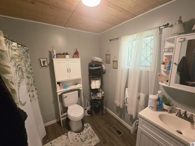 This quaint 2 bedroom 1 bath is the perfect starter home or lake - photo 12