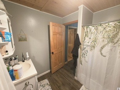This quaint 2 bedroom 1 bath is the perfect starter home or lake - photo 13