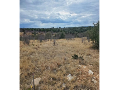 Lake Lot For Sale in Graford, Texas