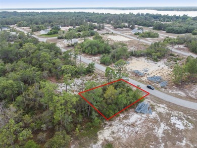 Lake Marion - Polk County Lot For Sale in Kissimmee Florida